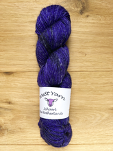 Afbeelding in Gallery-weergave laden, Moonless Night Merlin