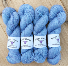 Afbeelding in Gallery-weergave laden, Frost Merlin Single