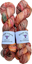 Load image into Gallery viewer, Peach & Petrol Merino - Singles - WeStYarn