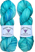 Load image into Gallery viewer, Lagoon Deluxe Sock