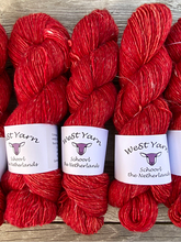 Afbeelding in Gallery-weergave laden, Ring of Fire Merlin - WeStYarn