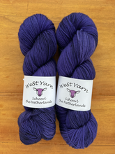 Load image into Gallery viewer, Moonless Night Deluxe Sock