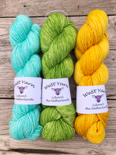 Afbeelding in Gallery-weergave laden, Lime Leaf Merlin - WeStYarn