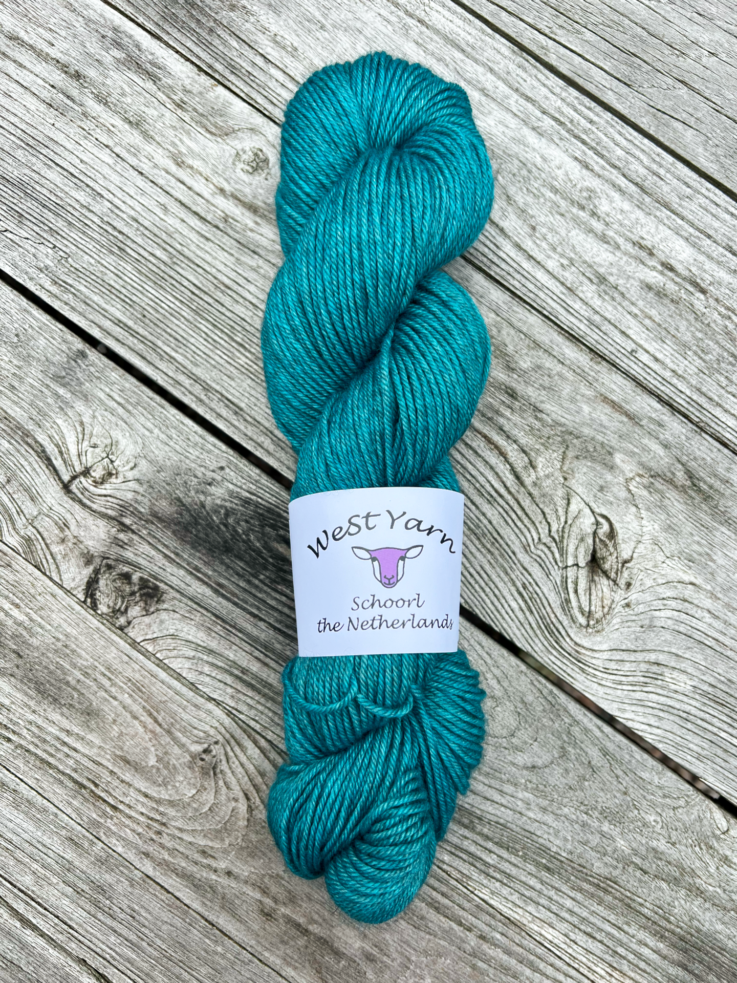 WeStYarn Ocean Green Yarlung DK