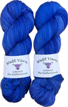 Load image into Gallery viewer, Delphinium Deluxe Sock
