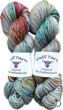 Afbeelding in Gallery-weergave laden, Two luxurious hand-dyed yarn skeins in vibrant speckled grey colorways from WeStYarn, Netherlands. Perfect for premium knitting and crochet projects.
