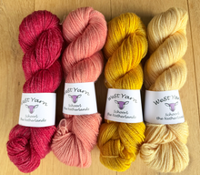 Afbeelding in Gallery-weergave laden, Four skeins of WeStYarn Merlin in Ring of Fire, Peach Pearl, Sunshine Saffron and Champagne
