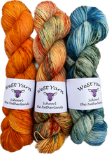 Load image into Gallery viewer, 3 skeins of westyarn merino singles in the hand dyed colorways Zonnegloed, Peach &amp; Petrol and Zee. 
